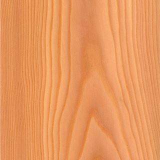 落叶松山纹 Larch Crown